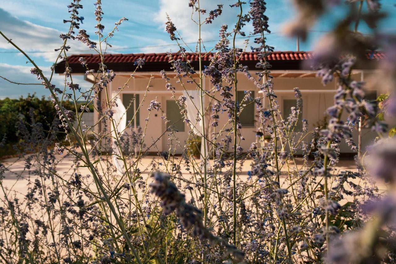 B&B La Ferula Altamura Eksteriør bilde